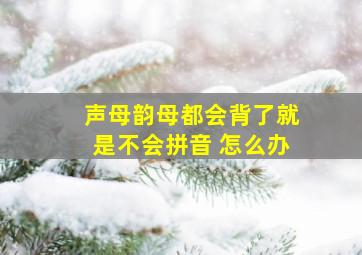 声母韵母都会背了就是不会拼音 怎么办